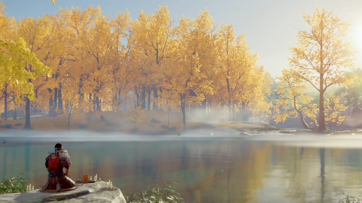 black and white horses